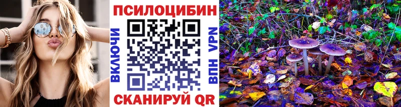 где продают Олёкминск Галлюциногенные грибы Magic Shrooms